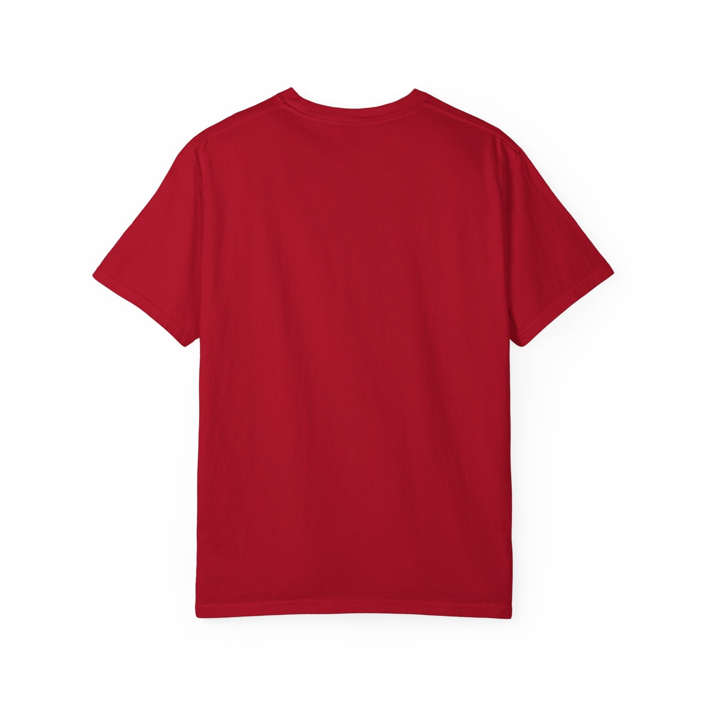 Political Satire T‑Shirt — "Dummacrats" Patriotic Donkey Graphic